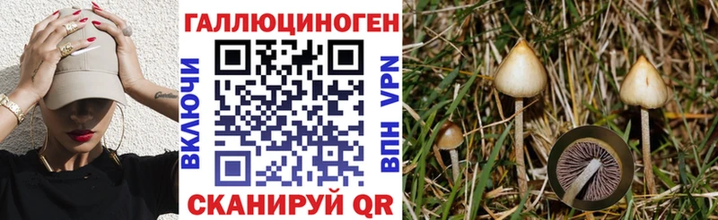что такое   Маркс  Галлюциногенные грибы MAGIC MUSHROOMS 